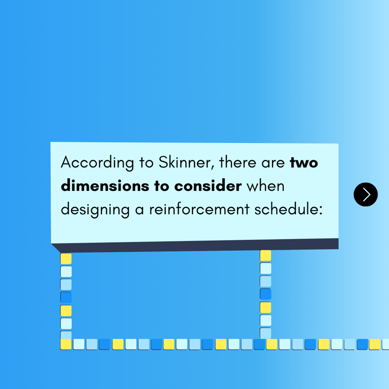 Slider 12, slide 13